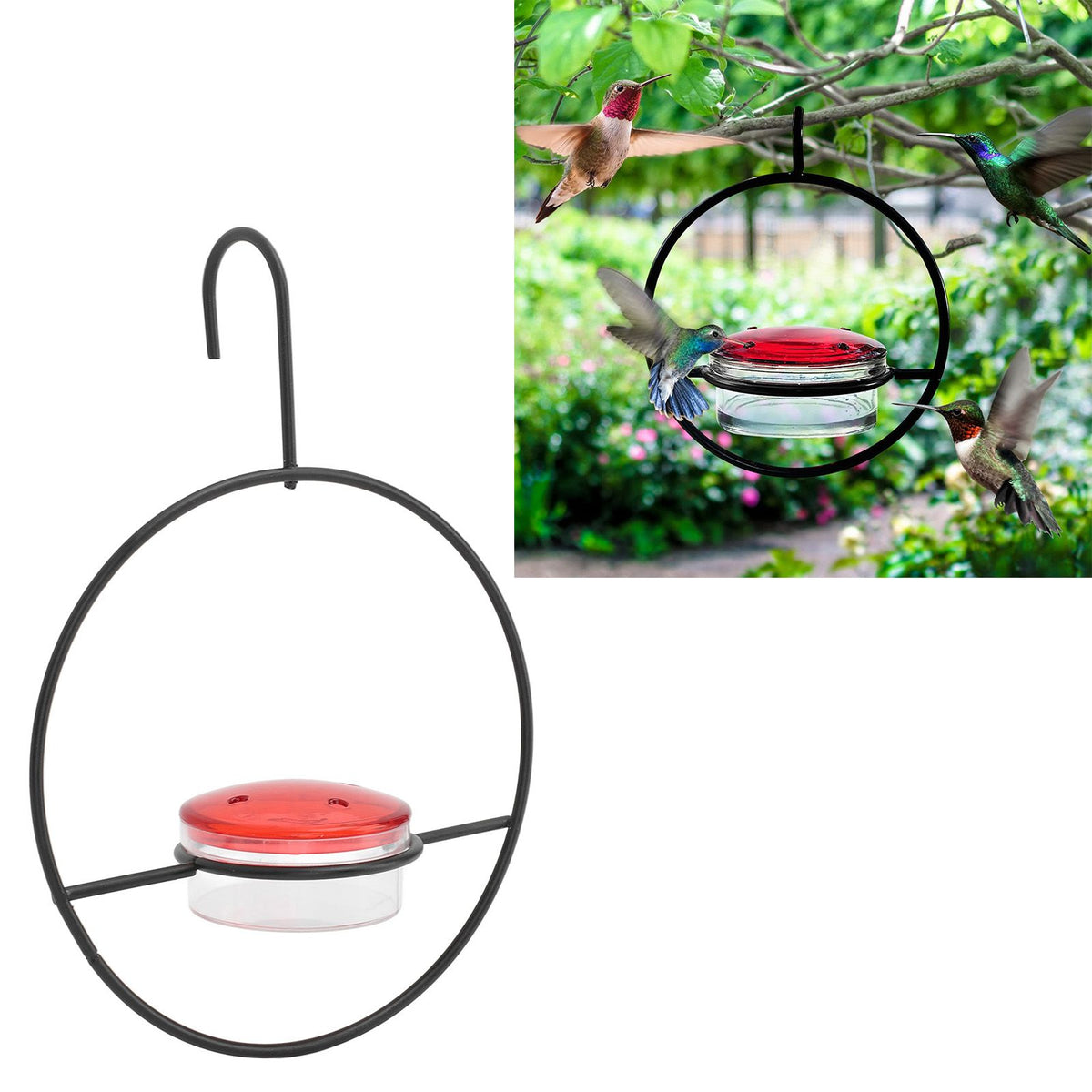 Hummingbird Feeder Beautiful Lightweight Hanging Bird Feeder with 4 Ports for Outdoor Backyard