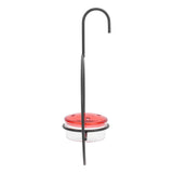 Hummingbird Feeder Beautiful Lightweight Hanging Bird Feeder with 4 Ports for Outdoor Backyard