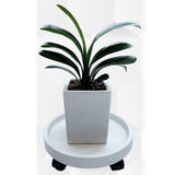 Flower Pot Tray Wheels Round Shape Removable Rotating Wheels Plant Stand for Balcony White 30 - 45-Degree Angle