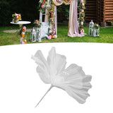 Gauze Flower 19.7in Diameter Soft Bright Colors Light Reusable Handcrafted Organza Flower for Wedding Photography Family White - Extra Image