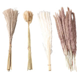 Natural Dried Pampas Grass Fluffy 15PCS White Pampas 15PCS Brown Pampas 50PCS Bunny Tail Grass 20PCS Reed Grass for Home Wedding Decor