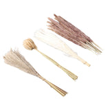 Natural Dried Pampas Grass Fluffy 15PCS White Pampas 15PCS Brown Pampas 50PCS Bunny Tail Grass 20PCS Reed Grass for Home Wedding Decor