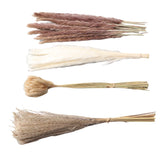 Natural Dried Pampas Grass Fluffy 15PCS White Pampas 15PCS Brown Pampas 50PCS Bunny Tail Grass 20PCS Reed Grass for Home Wedding Decor - 45-Degree Angle