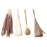 Natural Dried Pampas Grass Fluffy 15PCS White Pampas 15PCS Brown Pampas 50PCS Bunny Tail Grass 20PCS Reed Grass for Home Wedding Decor - Close-Up Angle
