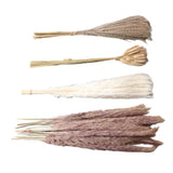 Natural Dried Pampas Grass Fluffy 15PCS White Pampas 15PCS Brown Pampas 50PCS Bunny Tail Grass 20PCS Reed Grass for Home Wedding Decor - Extra Image