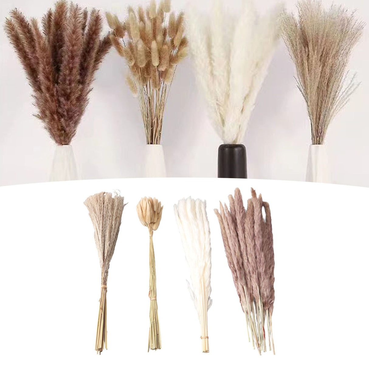 Natural Dried Pampas Grass Fluffy 15PCS White Pampas 15PCS Brown Pampas 50PCS Bunny Tail Grass 20PCS Reed Grass for Home Wedding Decor
