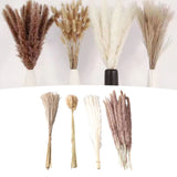 Natural Dried Pampas Grass Fluffy 15PCS White Pampas 15PCS Brown Pampas 50PCS Bunny Tail Grass 20PCS Reed Grass for Home Wedding Decor - Extra Image