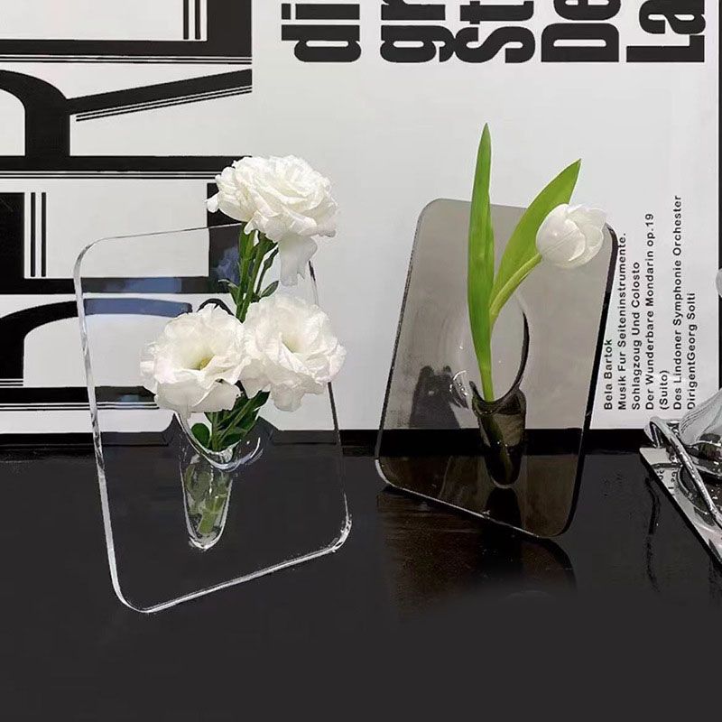 Art Photo Frame Vase Resin Multi Functional Hydroponic Flower Vase for Office Home Transparent White