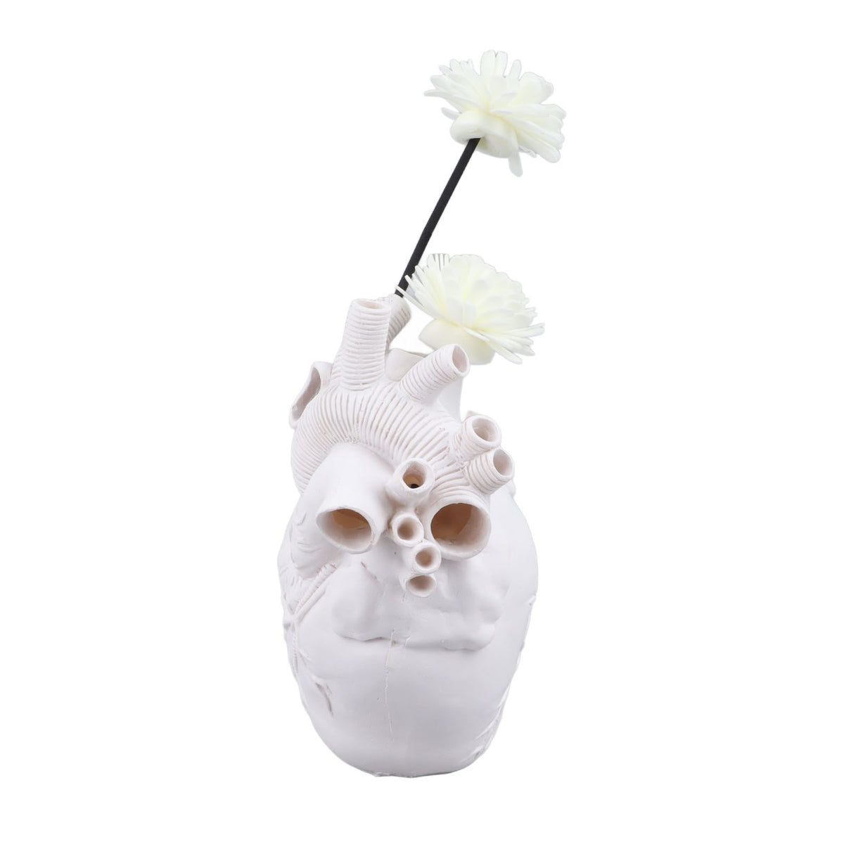 Creative Anatomical Heart Vases Resin Sculpture Heart Shaped Art Flower Vases Desktop Home Decoration for Living Room White