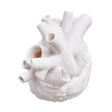 Creative Anatomical Heart Vases Resin Sculpture Heart Shaped Art Flower Vases Desktop Home Decoration for Living Room White - Extra Image