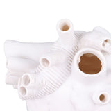 Creative Anatomical Heart Vases Resin Sculpture Heart Shaped Art Flower Vases Desktop Home Decoration for Living Room White - Extra Image