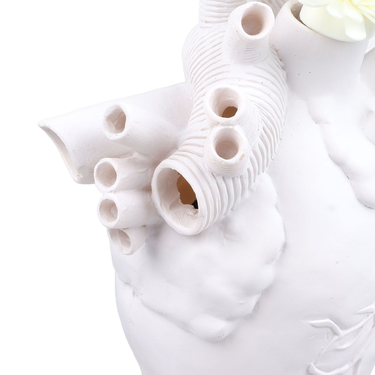 Creative Anatomical Heart Vases Resin Sculpture Heart Shaped Art Flower Vases Desktop Home Decoration for Living Room White