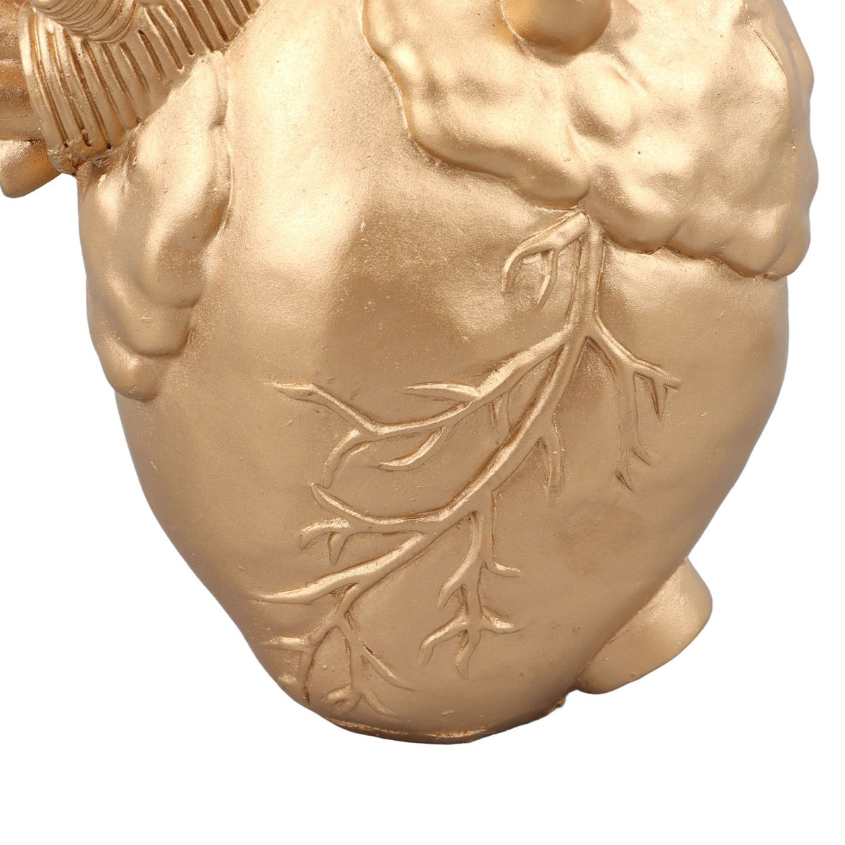 Creative Anatomical Heart Vases Resin Sculpture Heart Shaped Art Flower Vases Desktop Home Decoration for Living Room Gold