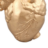 Creative Anatomical Heart Vases Resin Sculpture Heart Shaped Art Flower Vases Desktop Home Decoration for Living Room Gold