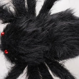 Giant Fake Spider Lifelike Halloween Posable Black Soft Hairy Fake Spiders Scary Decorations for Yard Home 90cm - Rear View