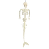 Halloween Skeleton Decoration Realistic Scary Skeleton Figurine Ornament for Haunted House Party Outdoor