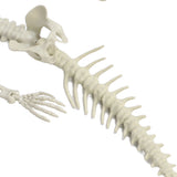 Halloween Skeleton Decoration Realistic Scary Skeleton Figurine Ornament for Haunted House Party Outdoor