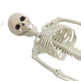 Halloween Skeleton Decoration Realistic Scary Skeleton Figurine Ornament for Haunted House Party Outdoor - Extra Image