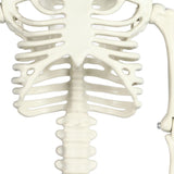 Life Size Skeleton Mermaid Halloween Outdoor Decorations Movable Posable Joints Realistic Full Body Skeleton Mermaid Props - Extra Image