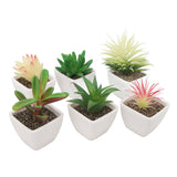 6PCS Potted Artificial Succulents Artificial Plants in Pots Plastic Fake Home Plant Decor for Living Room Office
