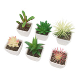 6PCS Potted Artificial Succulents Artificial Plants in Pots Plastic Fake Home Plant Decor for Living Room Office