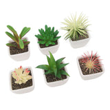 6PCS Potted Artificial Succulents Artificial Plants in Pots Plastic Fake Home Plant Decor for Living Room Office - Extra Image