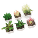 6PCS Potted Artificial Succulents Artificial Plants in Pots Plastic Fake Home Plant Decor for Living Room Office