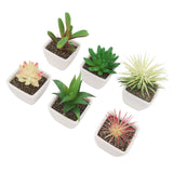 6PCS Potted Artificial Succulents Artificial Plants in Pots Plastic Fake Home Plant Decor for Living Room Office
