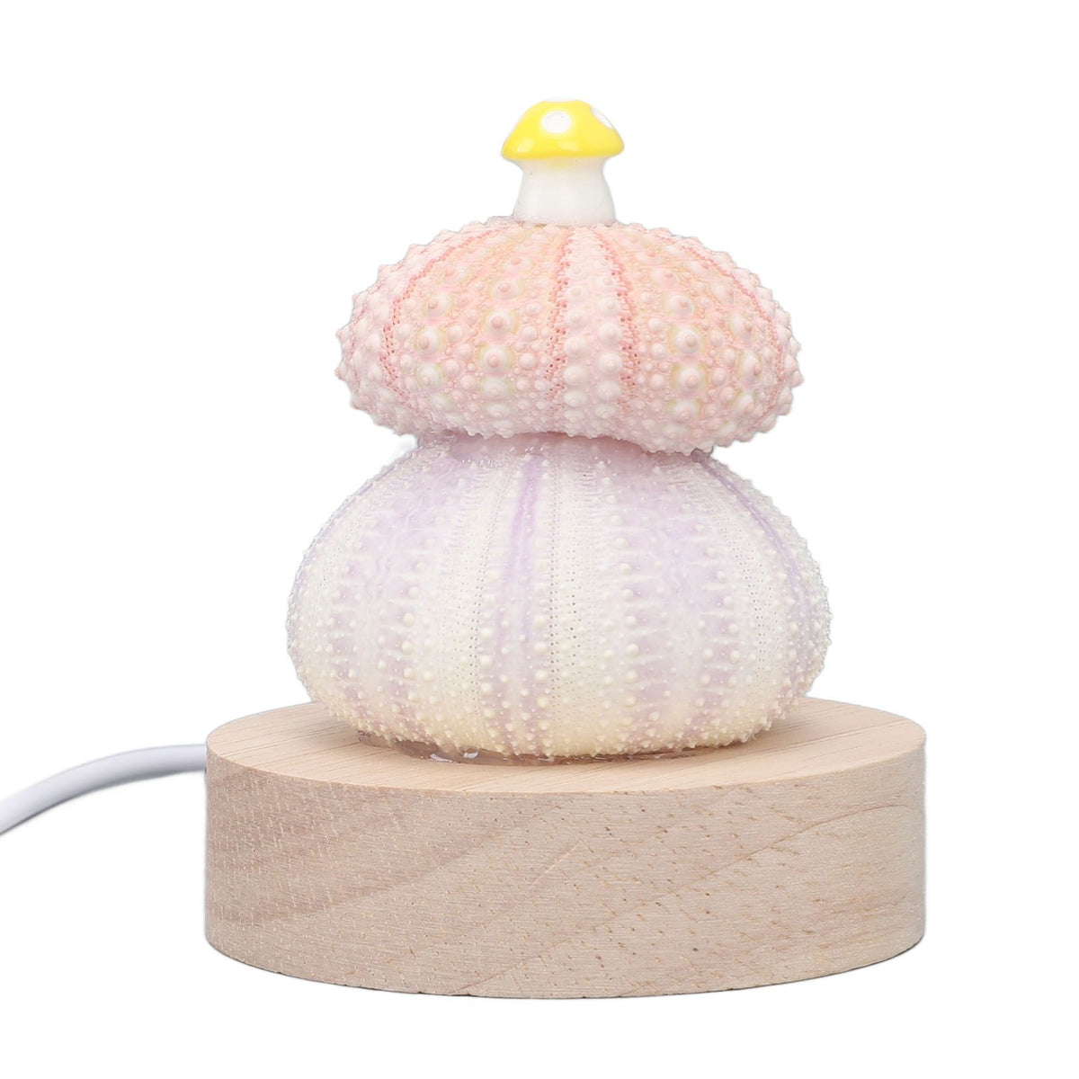 LED Night Lamp Warm White USB Plug In Natural Shell Body Cute Mushroom Decor Bedside Night Light