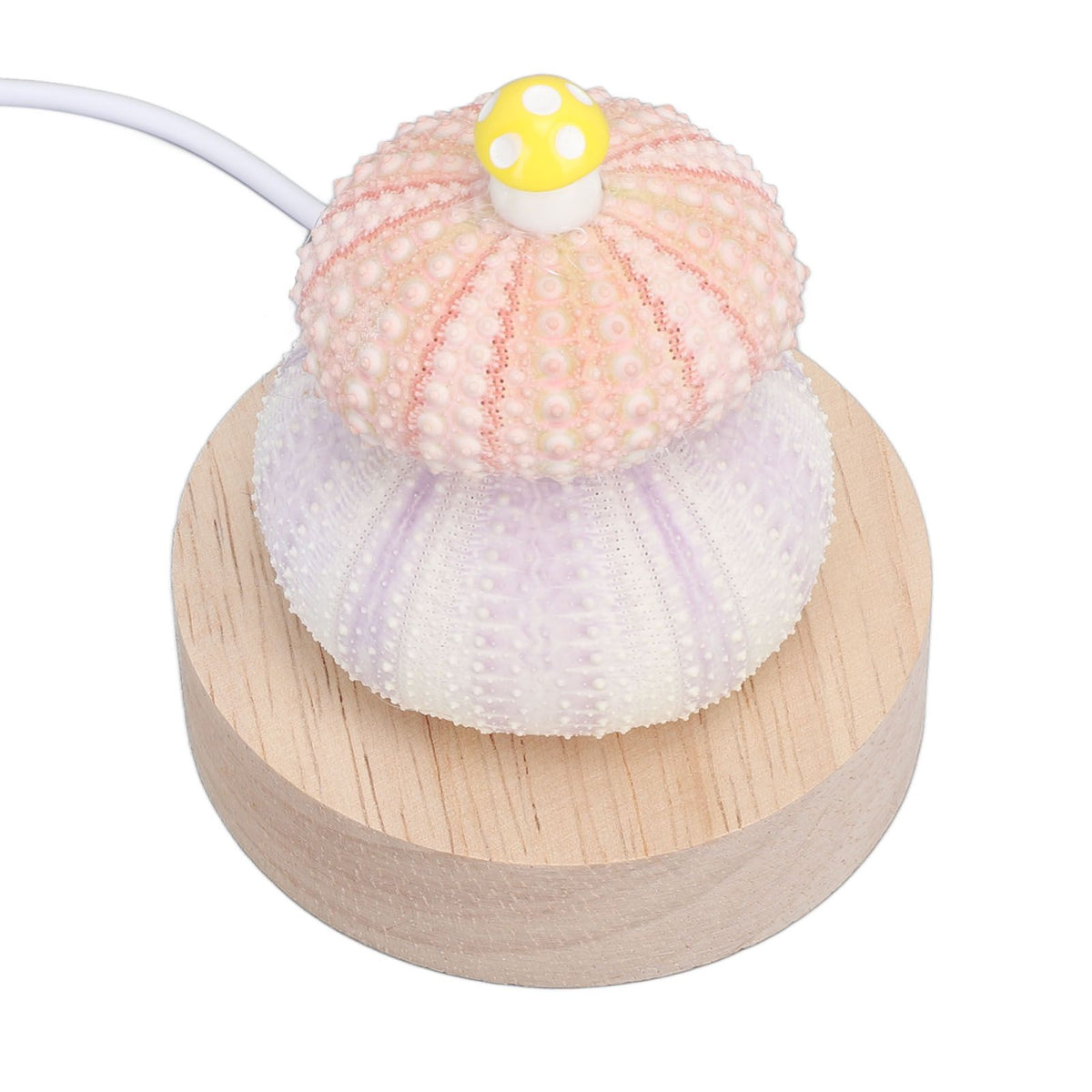 LED Night Lamp Warm White USB Plug In Natural Shell Body Cute Mushroom Decor Bedside Night Light