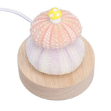 LED Night Lamp Warm White USB Plug In Natural Shell Body Cute Mushroom Decor Bedside Night Light
