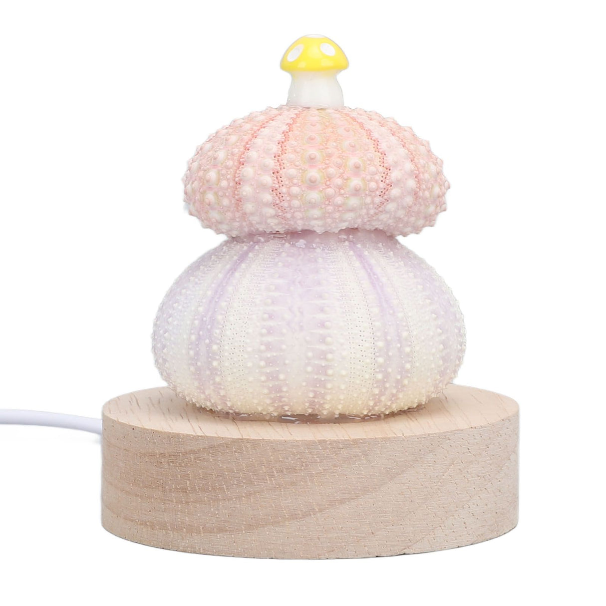 LED Night Lamp Warm White USB Plug In Natural Shell Body Cute Mushroom Decor Bedside Night Light
