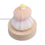 LED Night Lamp Warm White USB Plug In Natural Shell Body Cute Mushroom Decor Bedside Night Light - Low Angle