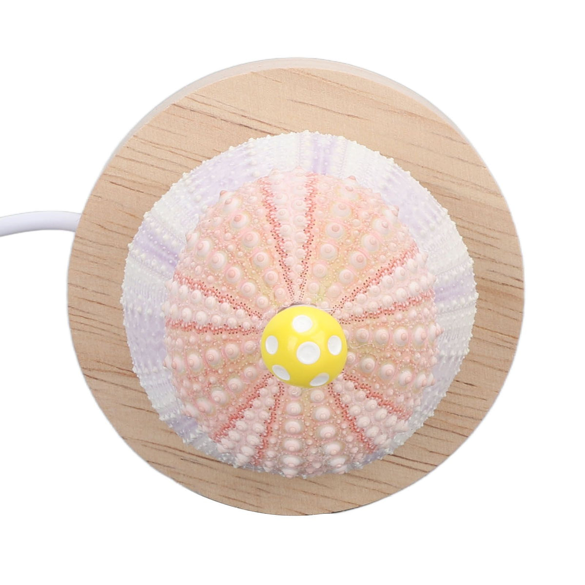 LED Night Lamp Warm White USB Plug In Natural Shell Body Cute Mushroom Decor Bedside Night Light