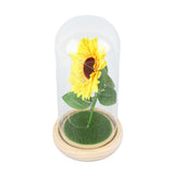 Simulation Sunflower Glass Cover Decoration Luminous LED Artificial Eternal Sunflower Glass Dome for Women