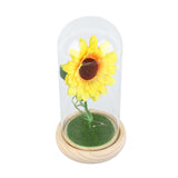 Simulation Sunflower Glass Cover Decoration Luminous LED Artificial Eternal Sunflower Glass Dome for Women