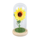 Simulation Sunflower Glass Cover Decoration Luminous LED Artificial Eternal Sunflower Glass Dome for Women - 45-Degree Angle