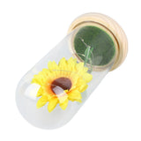 Simulation Sunflower Glass Cover Decoration Luminous LED Artificial Eternal Sunflower Glass Dome for Women