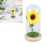 Simulation Sunflower Glass Cover Decoration Luminous LED Artificial Eternal Sunflower Glass Dome for Women - Extra Image