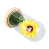 Simulation Sunflower Glass Cover Decoration Luminous LED Artificial Eternal Sunflower Glass Dome for Women