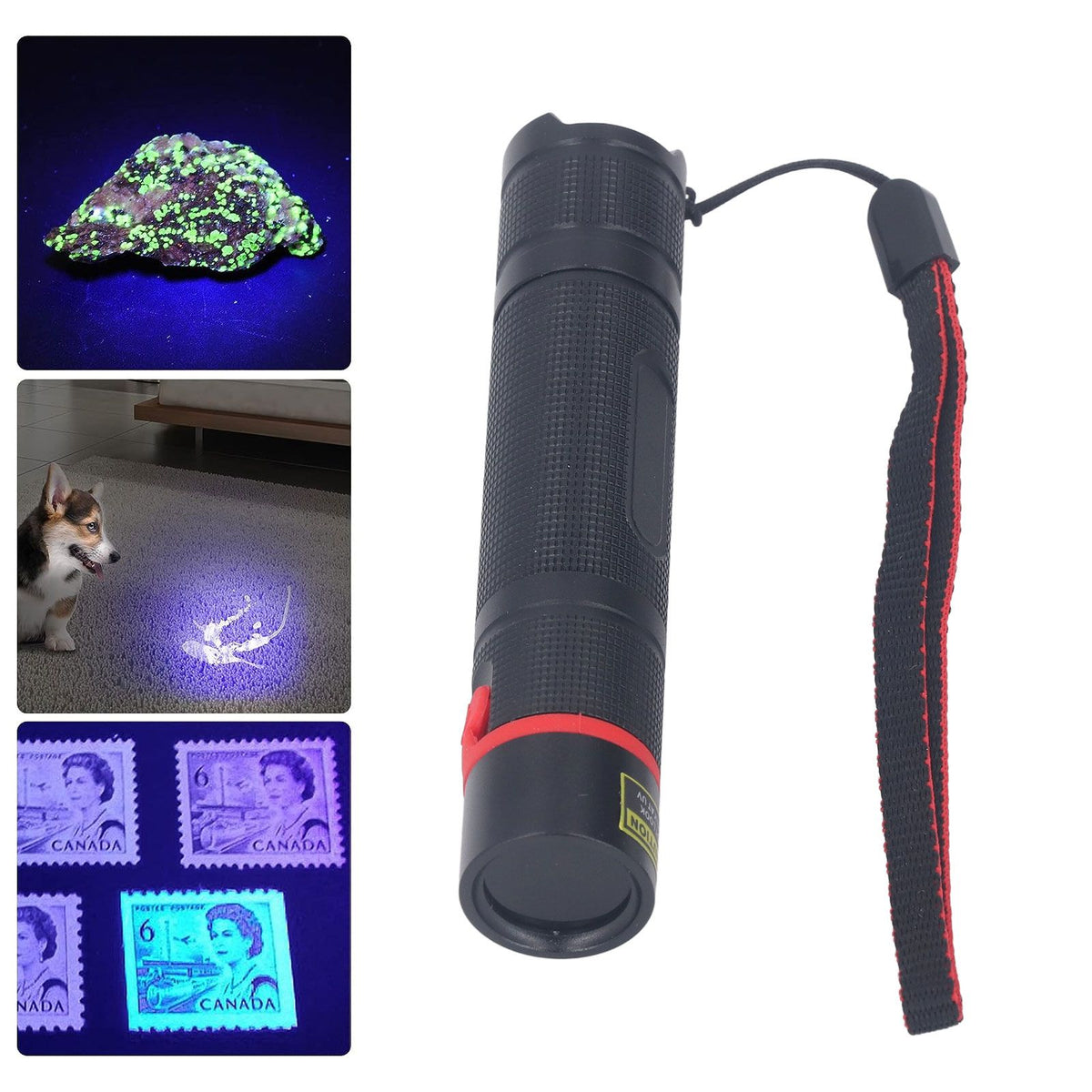 365nm Mini UV Flashlight Black Light USB Rechargeable LED Blacklight Pet Urine Detector for Dog Cat Urine Dry Stains