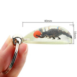 Glowing Insect Keychain Animal Specimens Keychain Resin Collectible Gift for Friends and Family - Front View