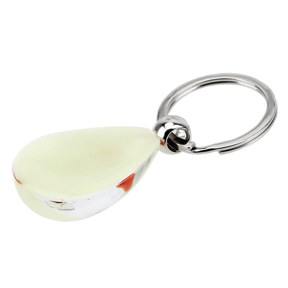 Glowing Insect Keychain Animal Specimens Keychain Resin Collectible Gift for Friends and Family