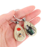 Glowing Insect Keychain Animal Specimens Keychain Resin Collectible Gift for Friends and Family - Top-Down View