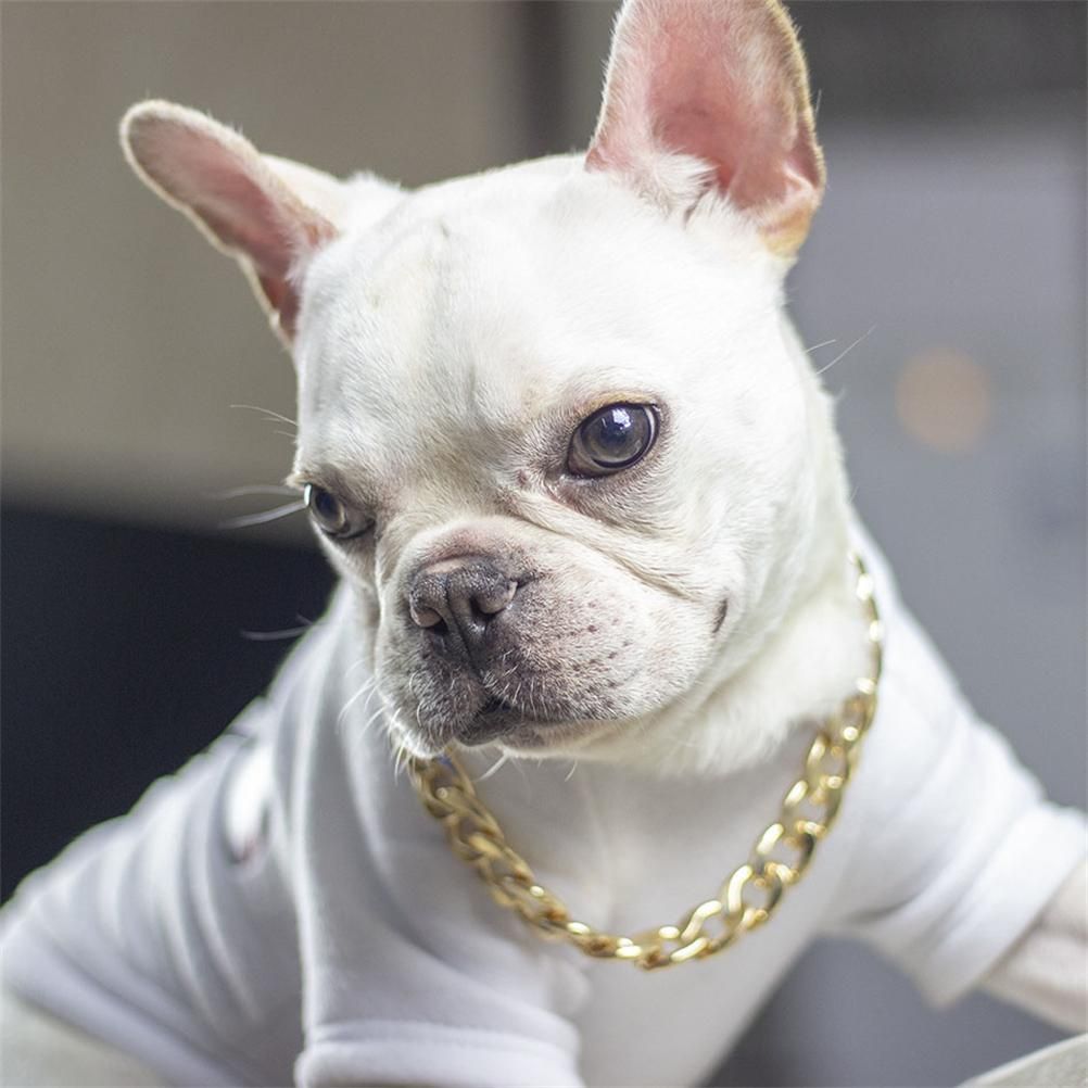 Dog Chain Pet Dog Metal Gold Collar Necklace Pet Jewelry Accessories for Four Seasons