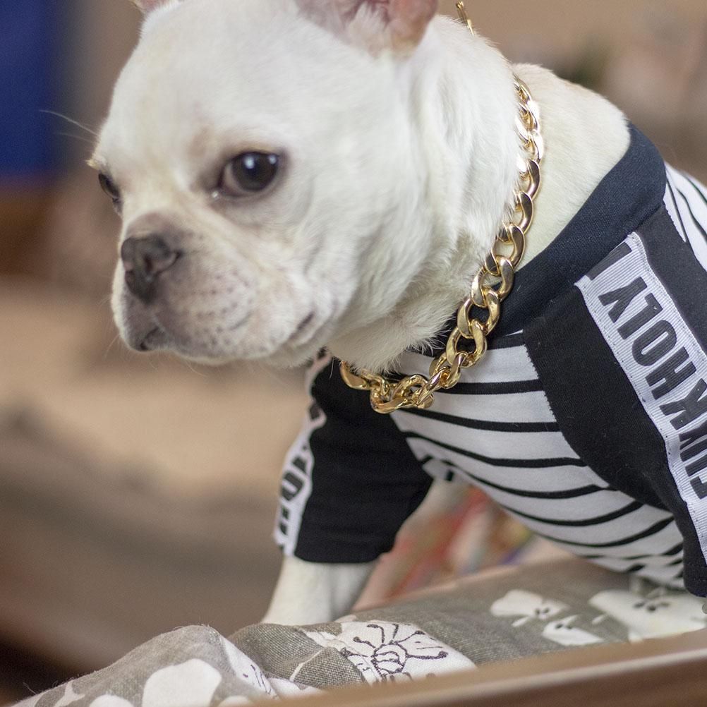 Dog Chain Pet Dog Metal Gold Collar Necklace Pet Jewelry Accessories for Four Seasons