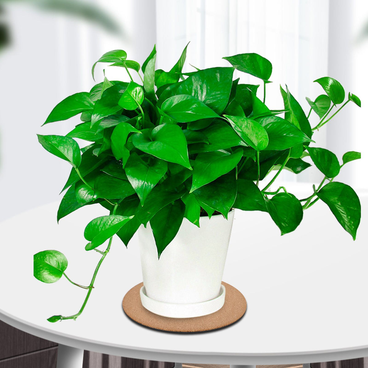 Eco Friendly Plastic Sheet Cork Flowerpot Pad Cork Plastic Sheet Plastic Cork Pad