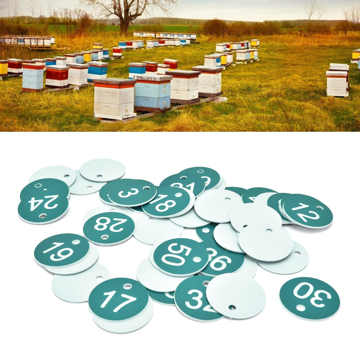 50PCS Numbered Label Numbered Tag for Farm Livestock Beekeeping Husbandry Breeding Supplies1-50 Green