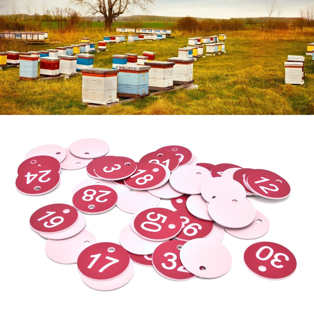 50PCS Numbered Label Numbered Tag for Farm Livestock Beekeeping Husbandry Breeding Supplies1-50 Red