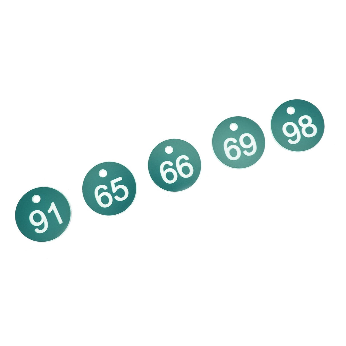50PCS Numbered Label Numbered Tag for Farm Livestock Beekeeping Husbandry Breeding Supplies51-100 Green